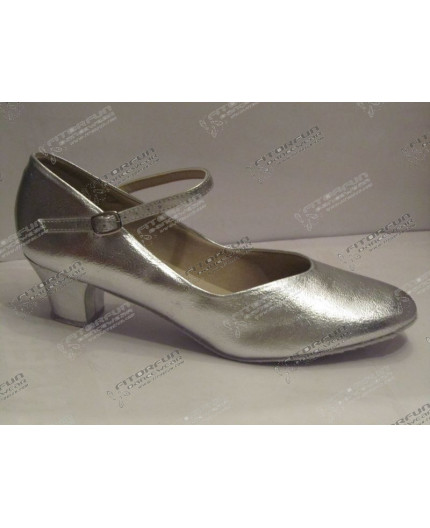 CH791 silber
