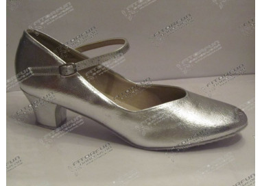 CH791 silber